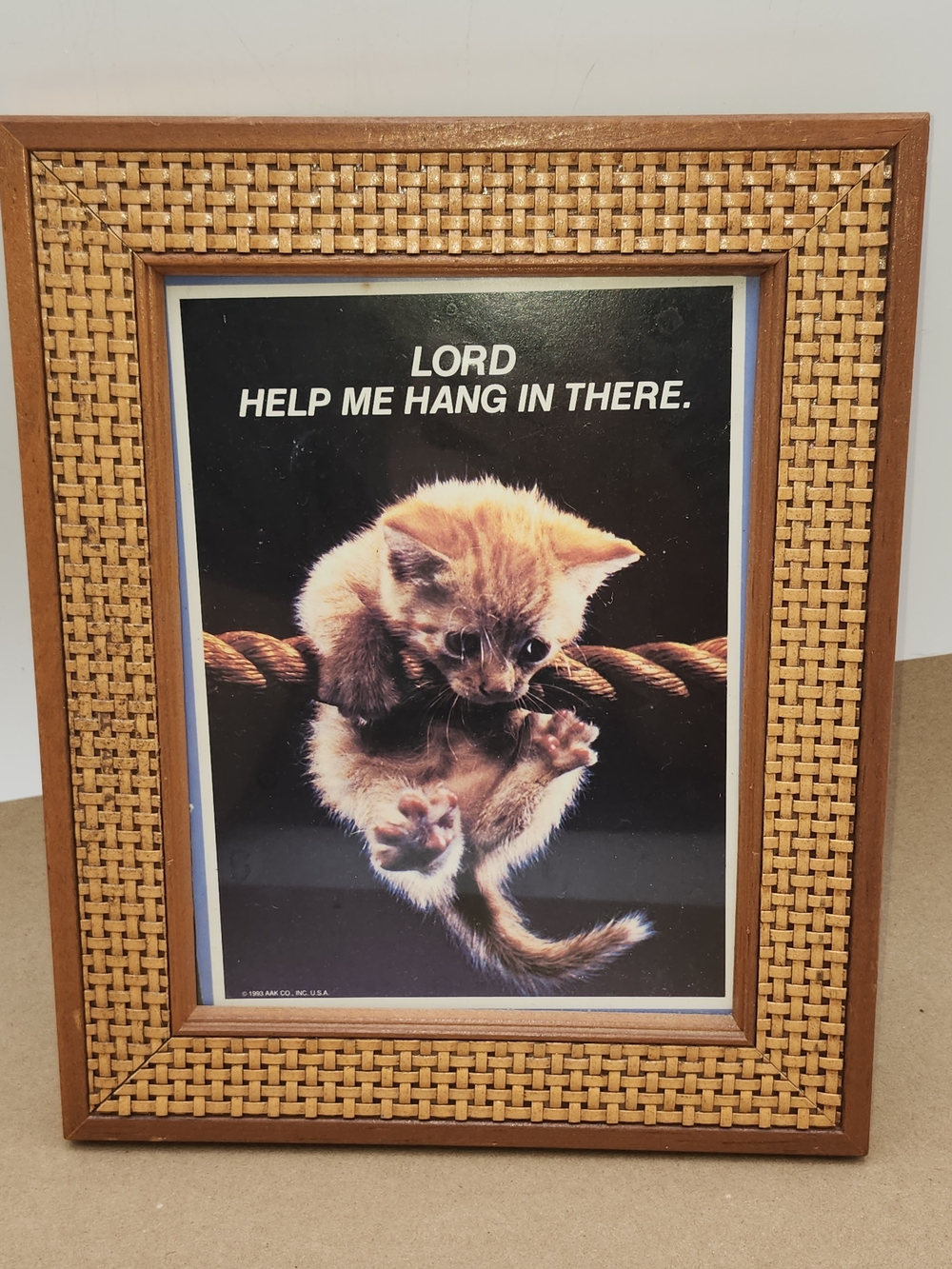 Vintage Rattan Framed Art Motivational Poster Cat Hang In There Wall Art